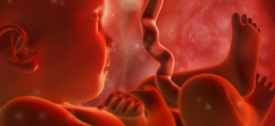 Δύο έμβρυα βρέθηκαν μέσα σε γυάλες δίπλα σε νεκροταφείο