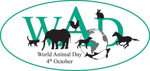 4 Οκτωβρίου Παγκόσμια Μέρα Ζώων – “Εσύ με κρατάς στη ζωή. Μην με αφήσεις!”
